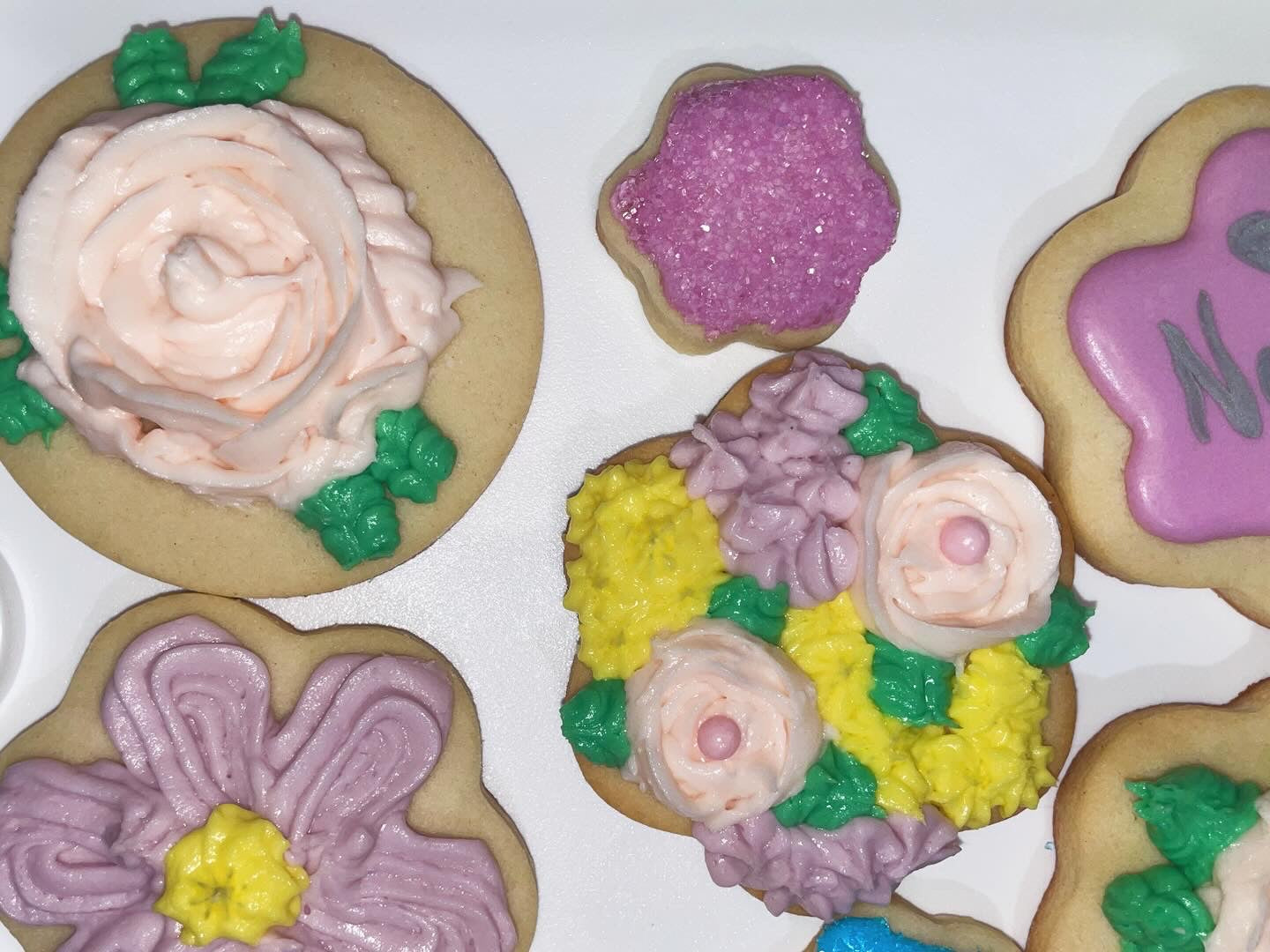Sugar Cookies